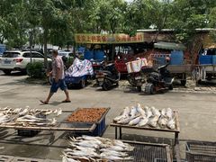 -大湾区中央湿地公园