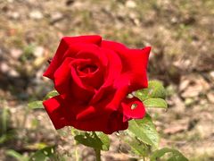 -自由港KTV(王子公主金平店)