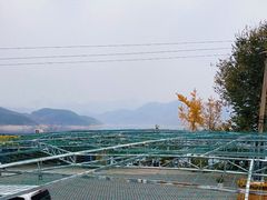 -望湖烤鱼
