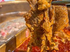 -东道煮牛肉火锅(东盛大街店)