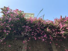 -小南山公园
