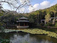 -三亚亚龙湾人间天堂鸟巢度假村