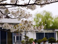 -共青国家森林公园-售票处