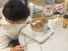 -袖虎·猫馆(体育西路店)