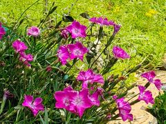 -山东省千佛山医院