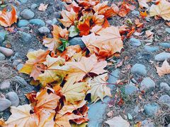 -天津东丽湖风景区