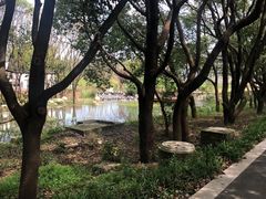 -同里国家湿地公园