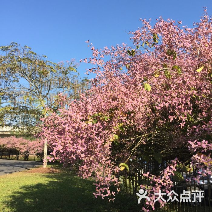 中國科學院西雙版納熱帶植物園