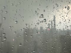 -上海明天广场JW万豪酒店