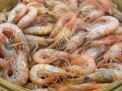 -良友·海鲜青岛菜·海肠捞饭(五四广场店)