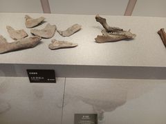 -良渚博物院