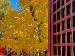 -承恩寺