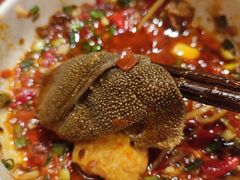 -袁老四重庆老火锅(桐梓坡店)