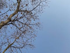 -嘉北郊野公园