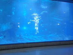 -福州罗源湾海洋世界旅游区