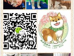 -小湘旺臭鳜鱼(百子湾店)