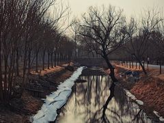 -东郊湿地公园