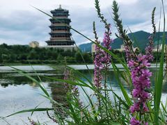-门城湖公园