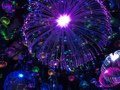 -上海梵高星空艺术馆(南京路旗舰店)