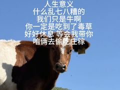 -圣莲山风景区