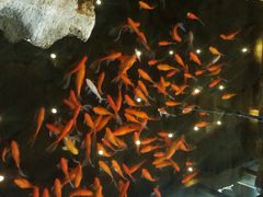 -舜耕山庄四时万和自助餐厅