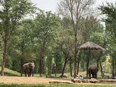 -北京野生动物园