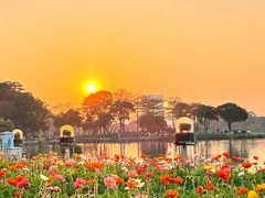 -顺峰山公园