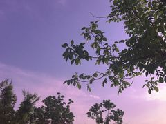 -汉长安城未央宫国家考古遗址公园