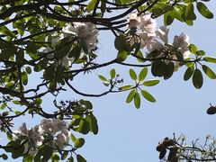 -王顺山国家森林公园