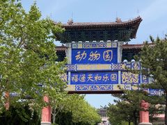 -西霞口神雕山野生动物世界