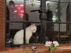 -马勒别墅·中餐厅