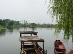 -会仙湿地