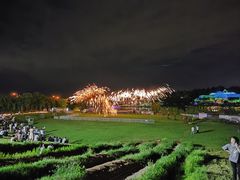 -大塘金香草谷