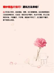 -樱花婚纱摄影