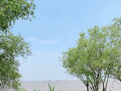-上海吴淞炮台湾国家湿地公园