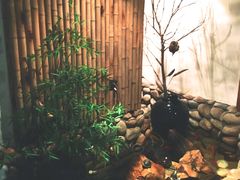 -馬蘭花開(车站大道店)