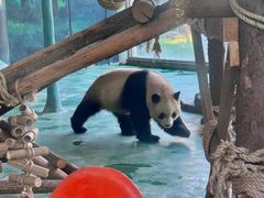 -五龙山野生动物王国