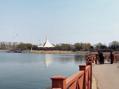 -丁香湖公园
