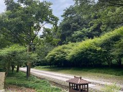 -黄公望隐居地