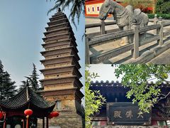 -洛阳白马寺