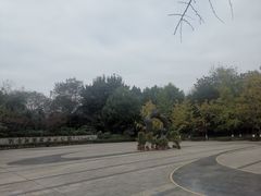 -重庆彩云湖湿地公园