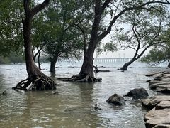 -宝安西湾红树林湿地公园