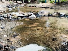 -白水寺森林公园