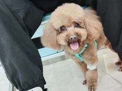 -纳吉亚猫专科动物医院博雅分院