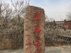 -北京麋鹿生态实验中心