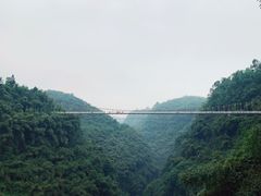 -川西竹海景区