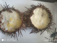 -宾朋海鲜特色美食餐厅·纯手工鲅鱼水饺(兴海路店)