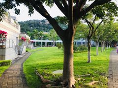 -厦门国家会计学院