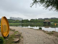 -前关湿地公园