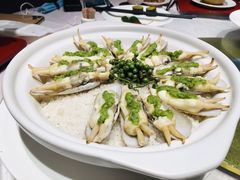 青汁盐焗蛏-宣和苑(华侨新村店)